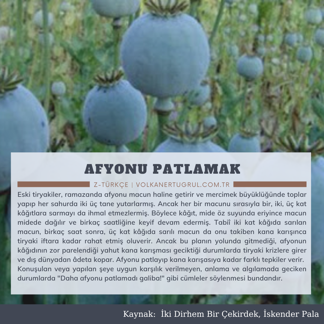 “Afyonu Patlamak” Deyiminin Hikâyesi