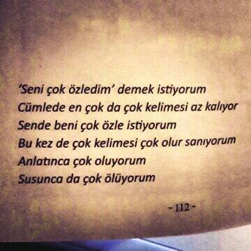 Seni Çok Özledim, Demek İstiyorum … Seni Çok Özledim, Demek İstiyorum …